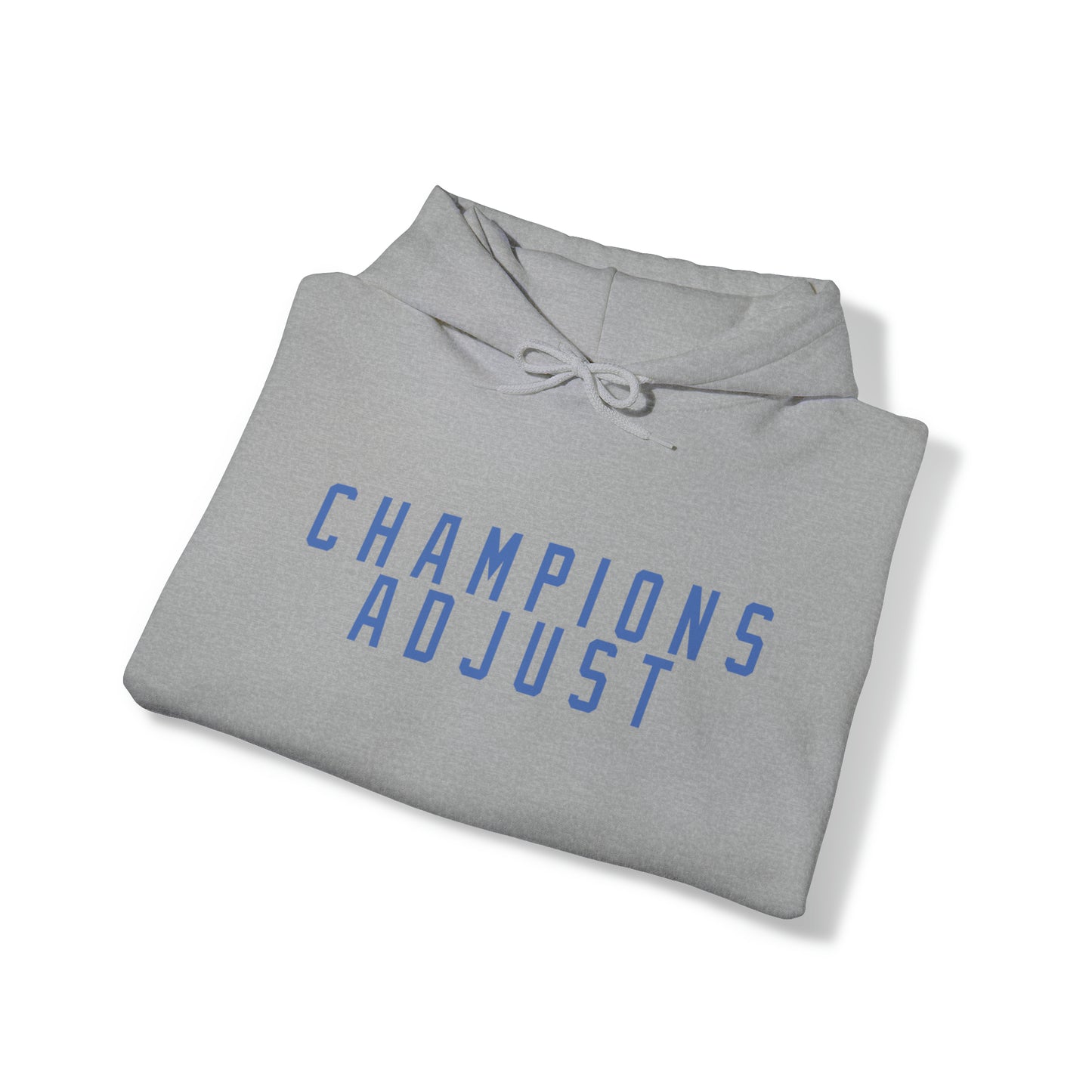 Champions Adjust Hoodie (Grey)